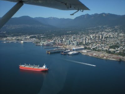 Media_httplh6ggphtcomtbull001sm8rqfl08iaaaaaaaaeim8hpwqwk7kxcs400dscn0343jpg_glowbgxvidhibed