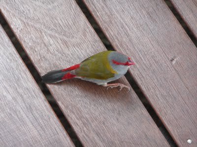 Media_httplh4ggphtcomigzqjwth3c0src5vacmaviaaaaaaaafks22knh8c7uw4s400001jpg_wgcfjkoegibcdag