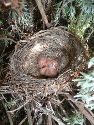 Media_httplh6ggphtcomigzqjwth3c0src538upoiaaaaaaaafk8uvlyzfayy4s400004jpg_yjhrfzamfldtgbe