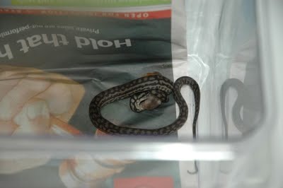 Media_httplh5ggphtcomigzqjwth3c0swmwvbpb7yiaaaaaaaafvghko4usewlj4s400monday200501092028129jpg_xzojhamlcgzhynm