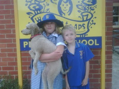 Media_httplh5ggphtcomigzqjwth3c0syeuzbjd44iaaaaaaaafzcw9f6phddtm8s400img00087200902020840jpg_fdmfwdikgmvbjfj