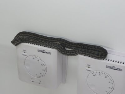 Media_httplh6ggphtcomigzqjwth3c0syqj2r7hniaaaaaaaafb8gu7wumrsj4os400051jpg_fxdhnoexvassbzi