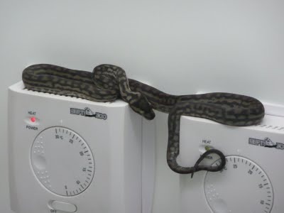 Media_httplh6ggphtcomigzqjwth3c0syqmpdo4qiaaaaaaaafcebvhxummw2sss400056jpg_rfhruxwihhklfbd