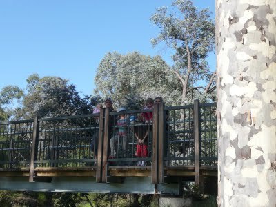 Media_httplh3ggphtcomigzqjwth3c0seq3rrqfzqiaaaaaaaafsonvcacqkwgqms4002009041620050jpg_gbrblpkcunfccdv