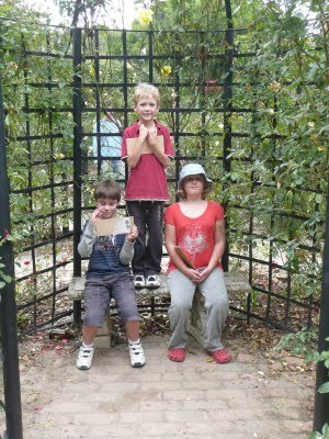 Media_httplh4ggphtcomigzqjwth3c0seq563nkvwiaaaaaaaafu8dnwvngrcr80s4002009041620101jpg_ihgawyuyenitzym