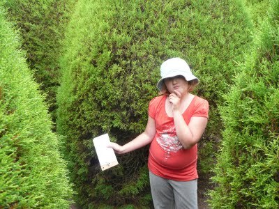 Media_httplh6ggphtcomigzqjwth3c0seq5wxuefriaaaaaaaafu0sivj1y1gldcs4002009041620098jpg_ygmdkbwleitaqfb