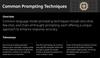 Common Prompting Techniques
