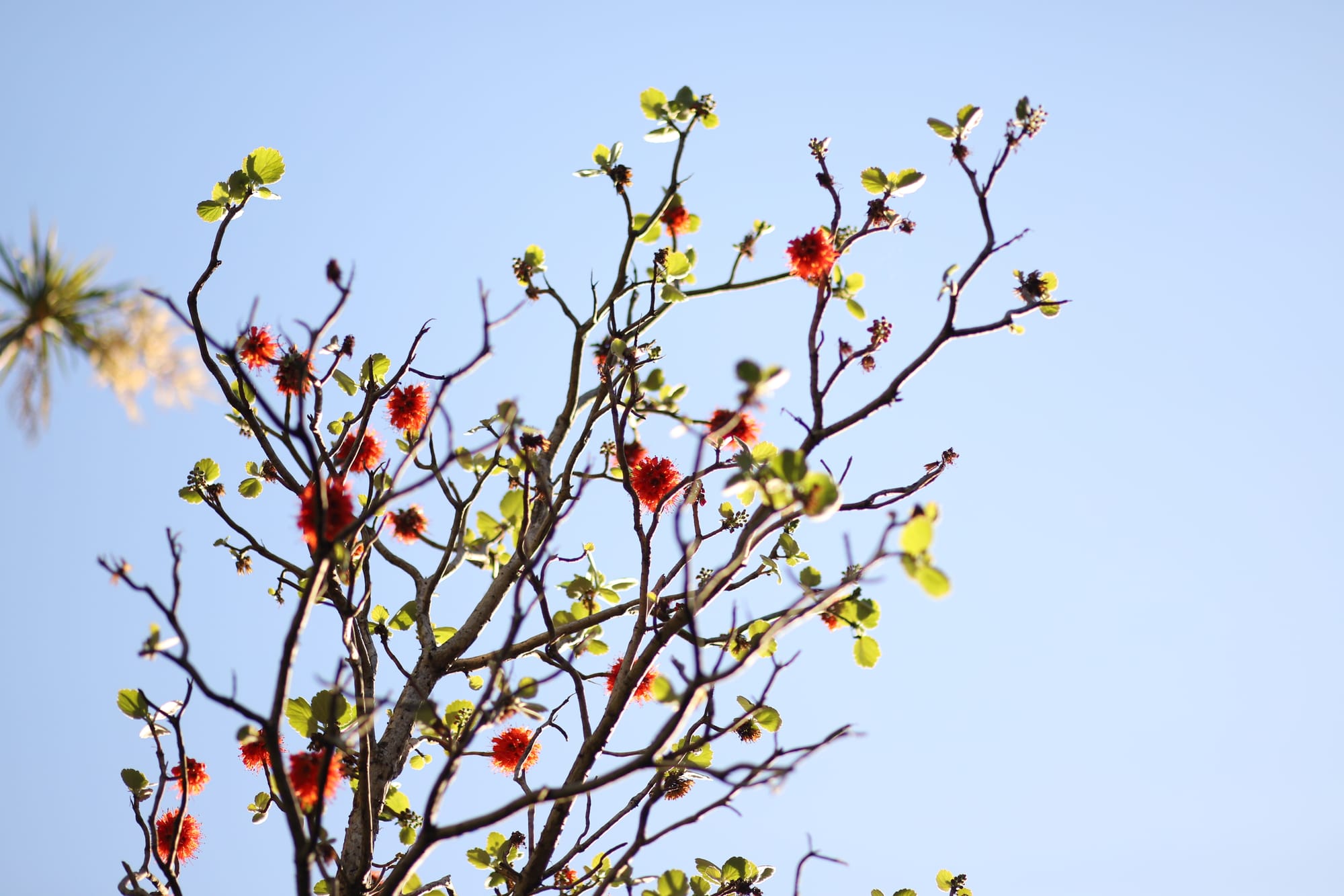 Elizabeth Dol profile image