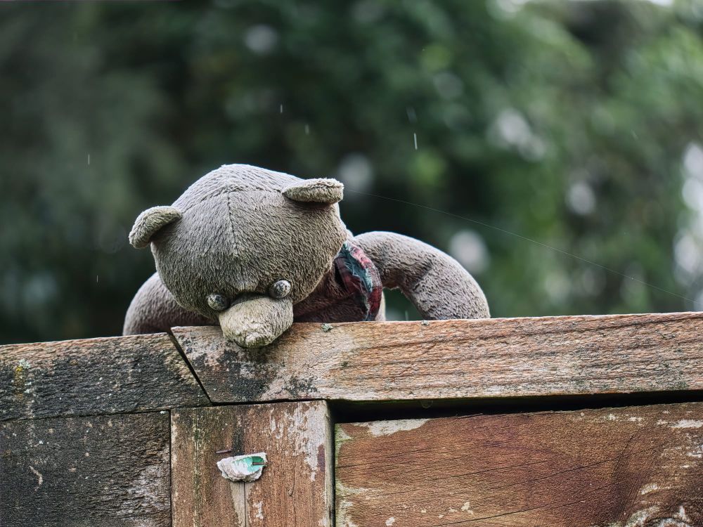 Teddy bear in the rain post feature image