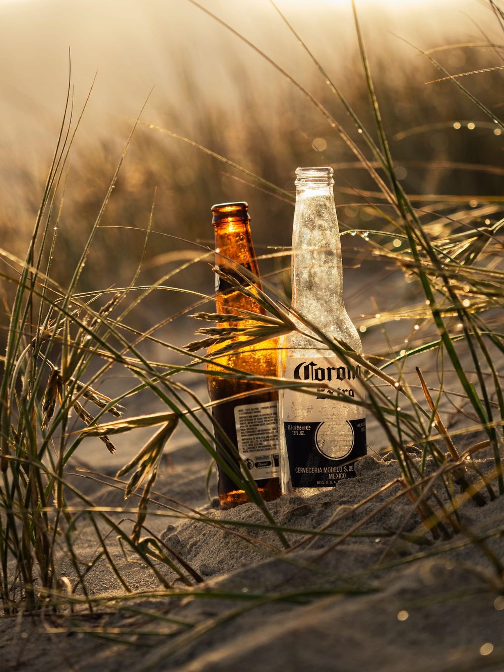 Discarded drink bottles beer alcohol post image