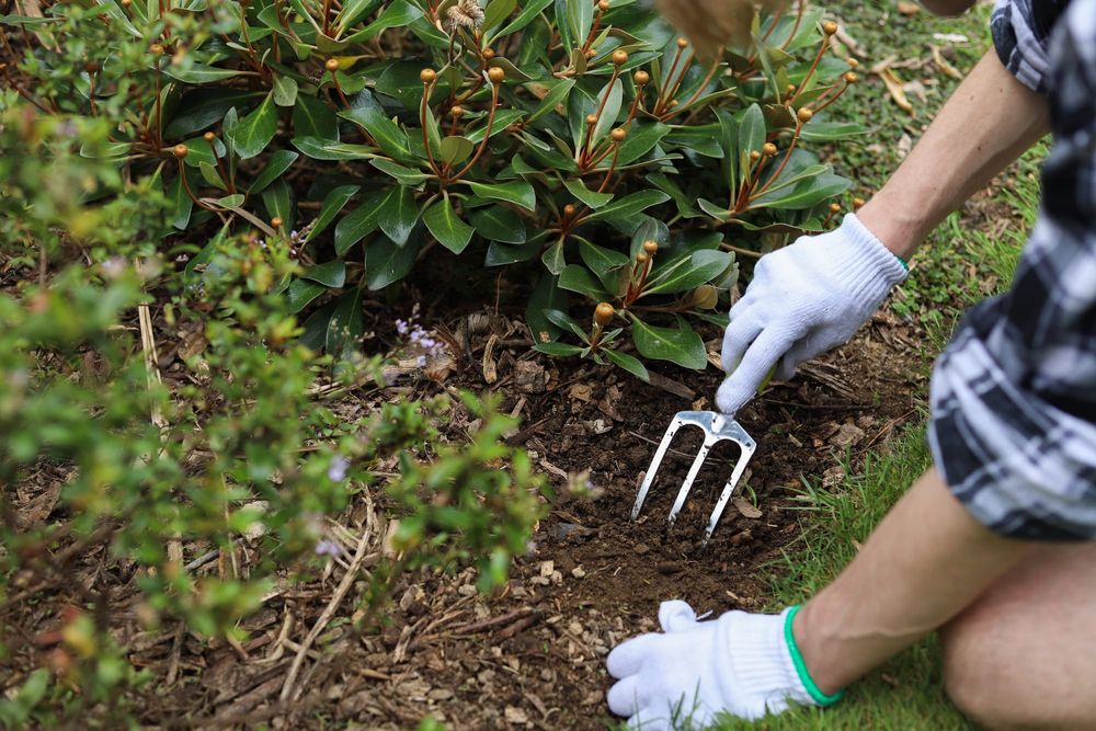 Preparing the soil post image