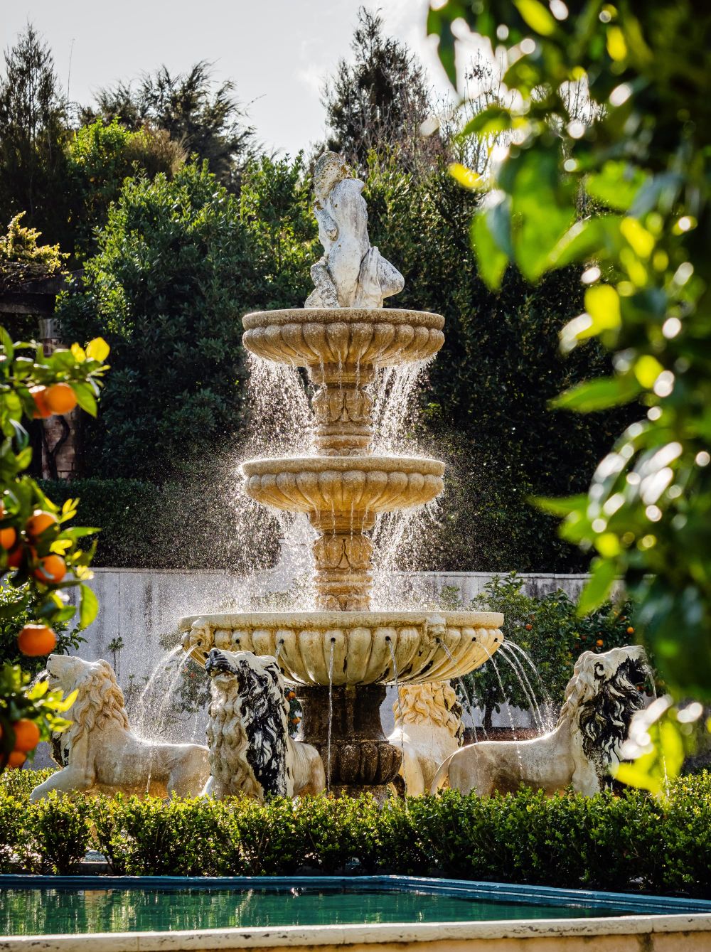Hamilton gardens renaissance fountain post image