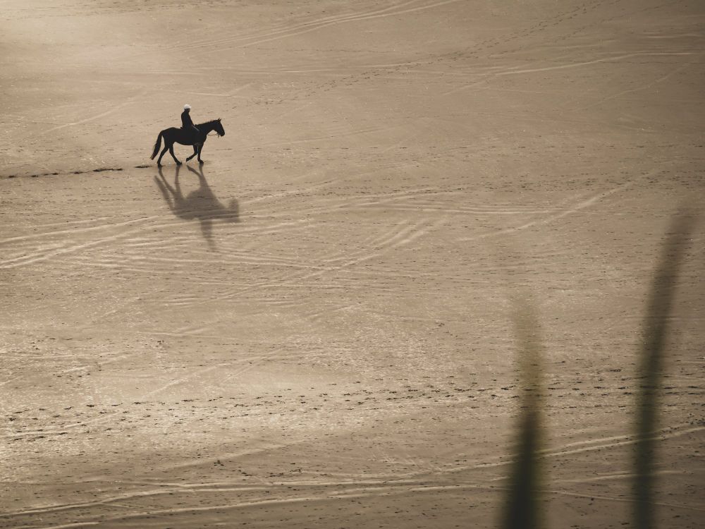 Lonely horse rider on Raglan beach post image