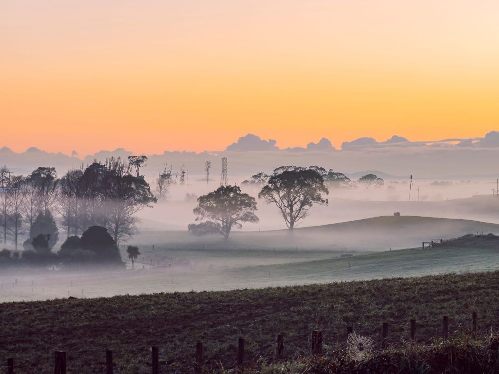 Rural landscape with morning mist fog post image