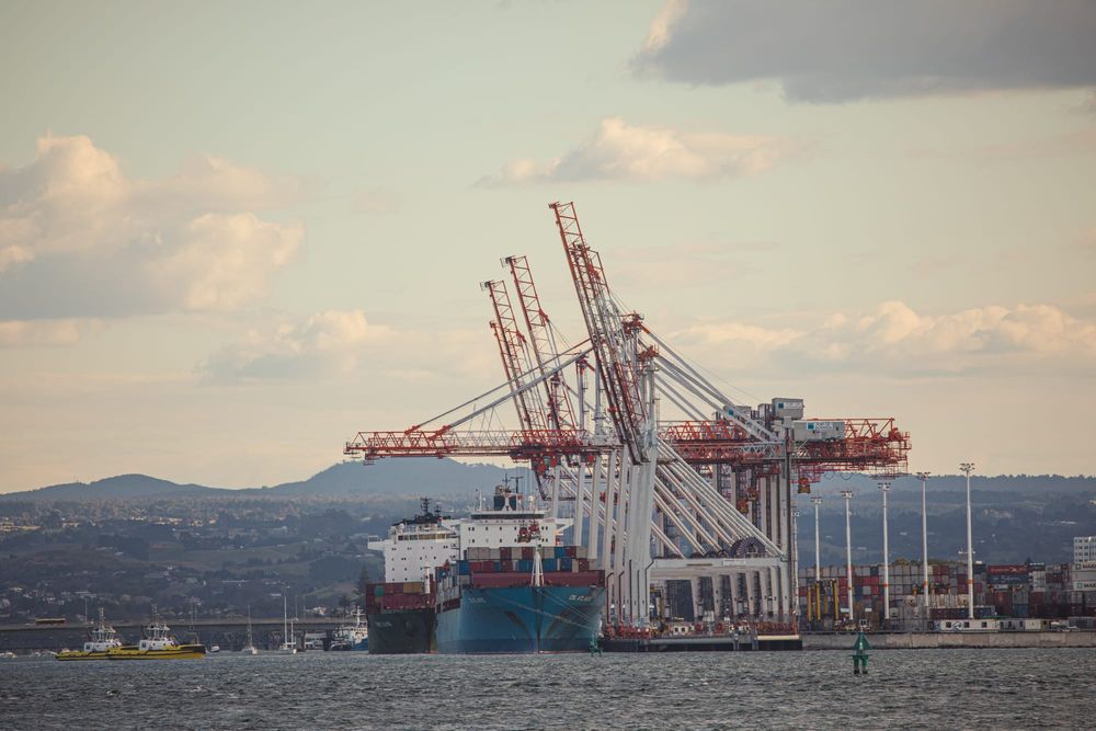 Container cranes at work in Tauranga post image