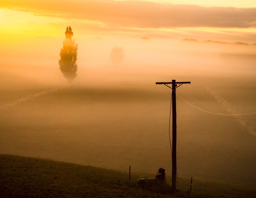 Winter fog mist field tree post image