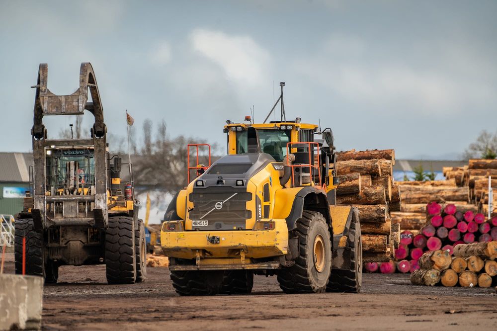 Working in tandem post image