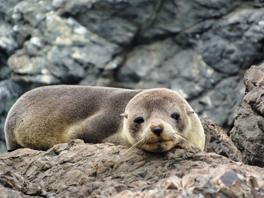 I'm watching you post image