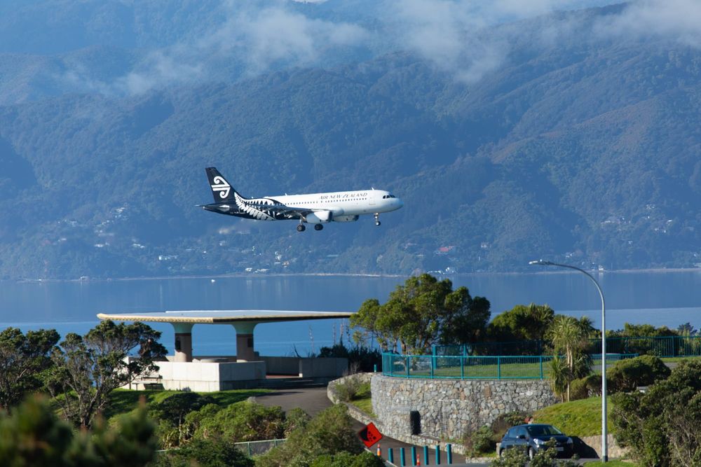 Air New Zealand plane landing post image