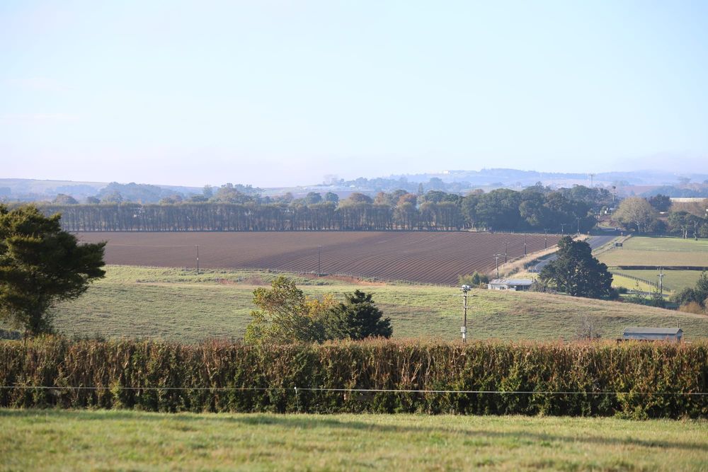 Farmland landscape view post image