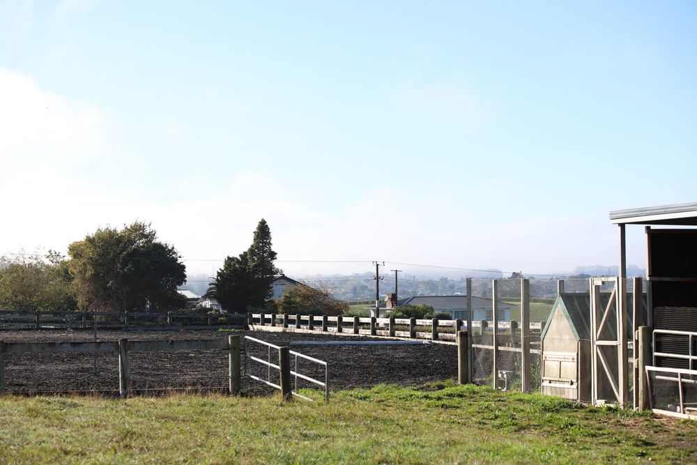 Farmyard with fencing post image