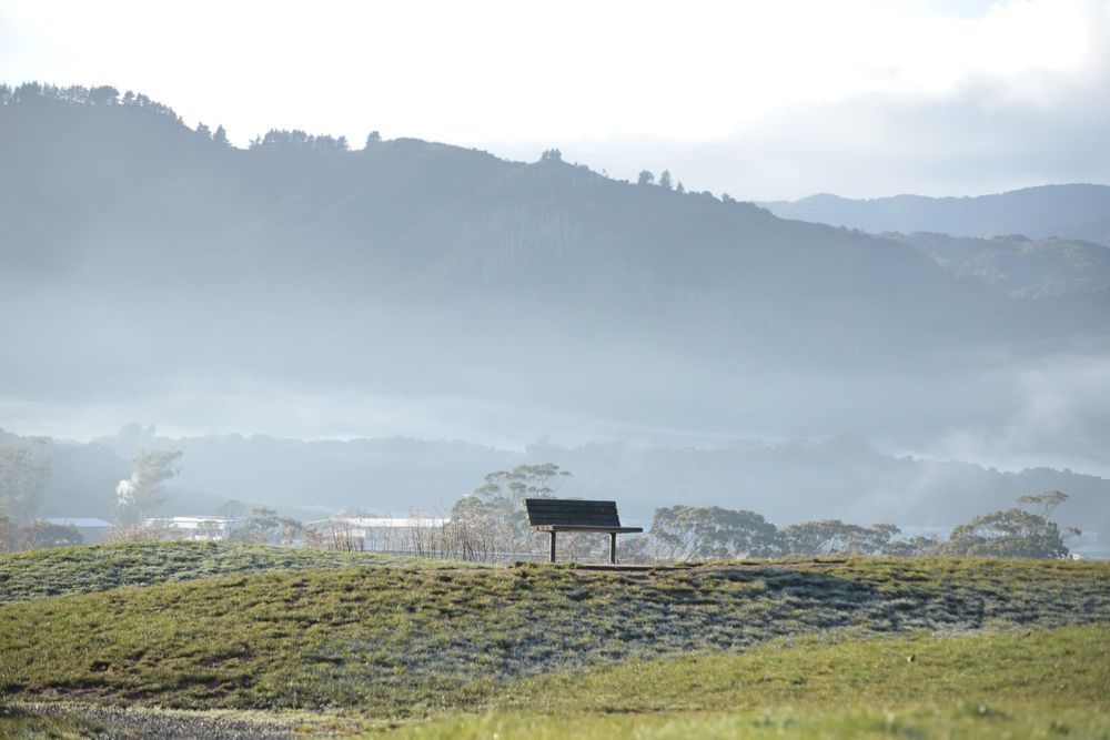 Bench and misty hillside view post image