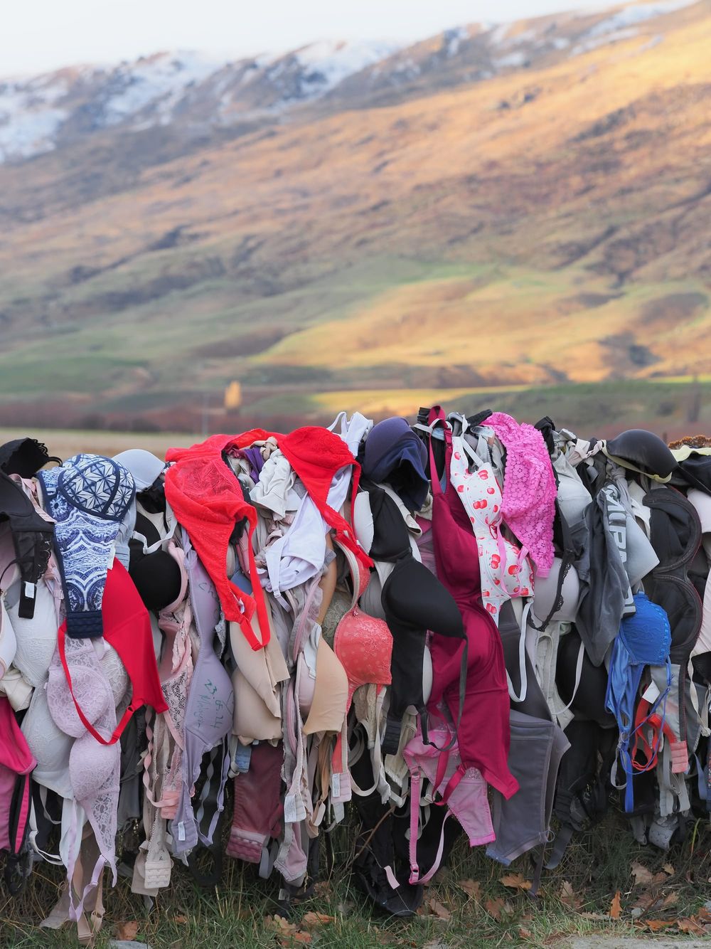 Bradrona Brafence Cardrona Queenstown post image