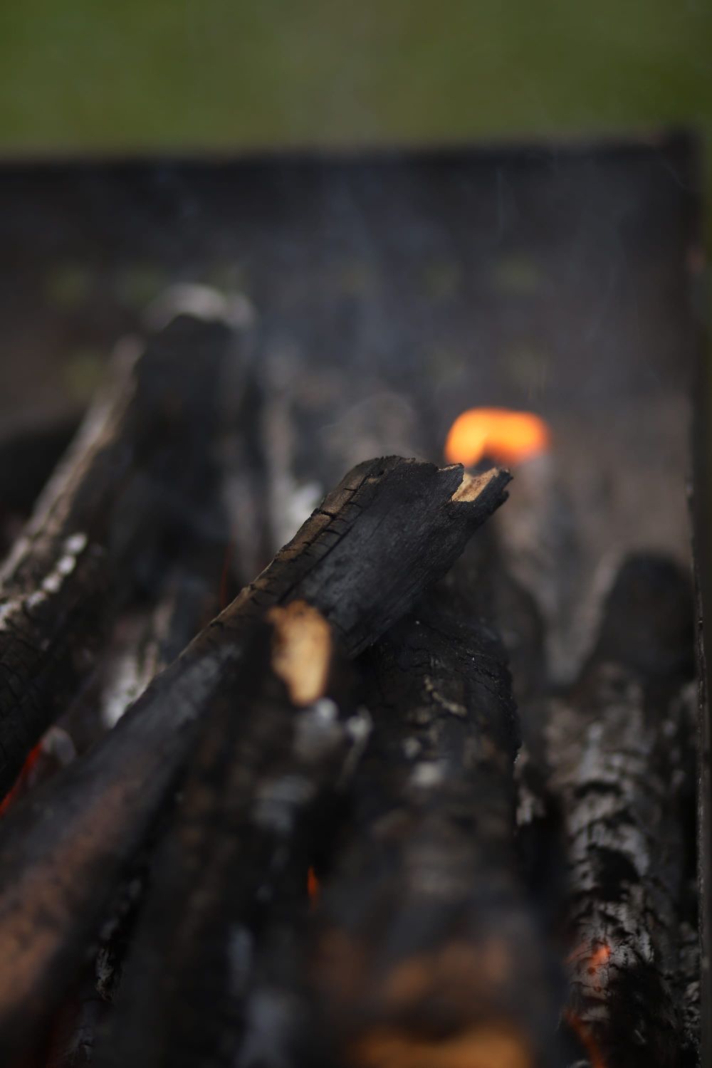 Burning logs post image