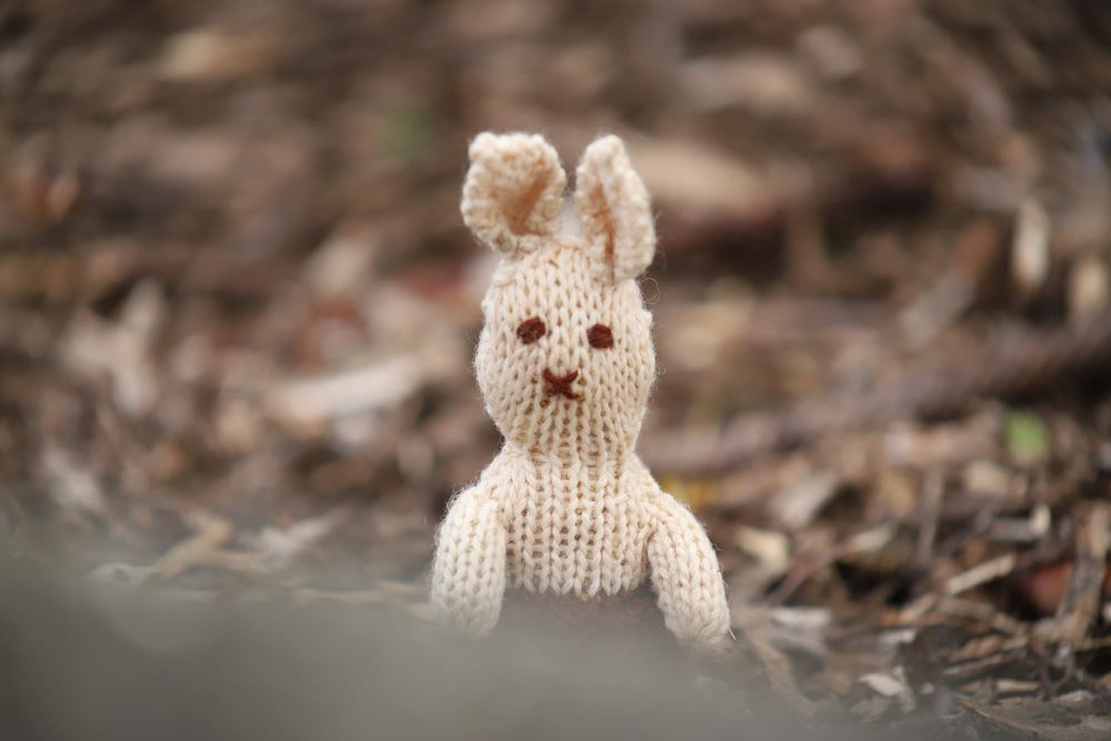 Crocheted bunny post image