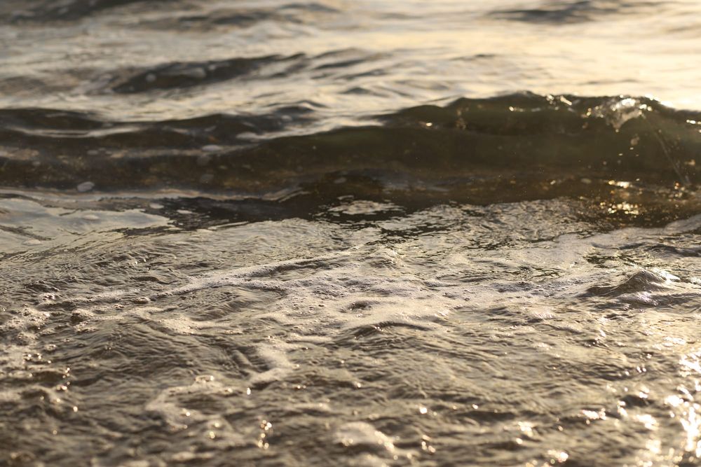 Foam on the shore post image