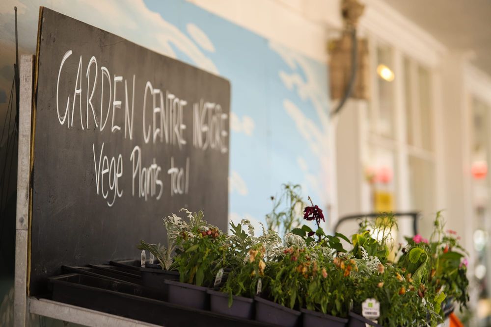 Garden centre notice, Foxton post image