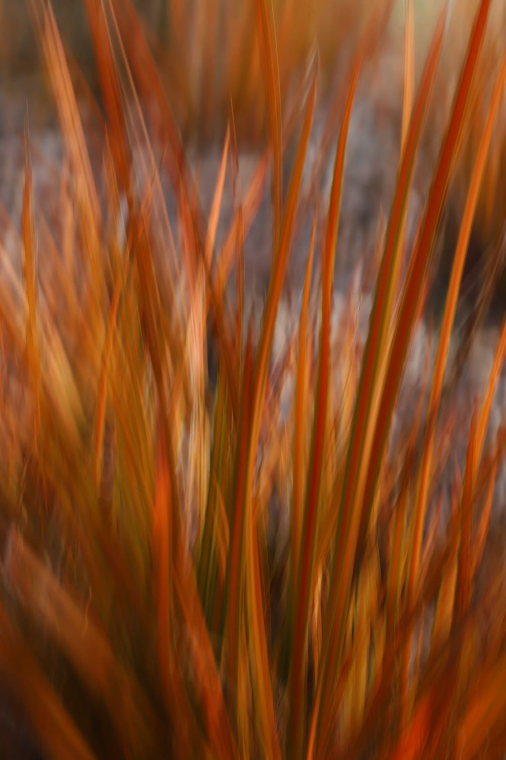 Grass motion post image