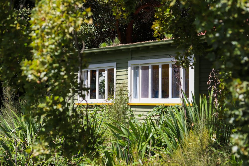 Green house in an overgrown garden post image