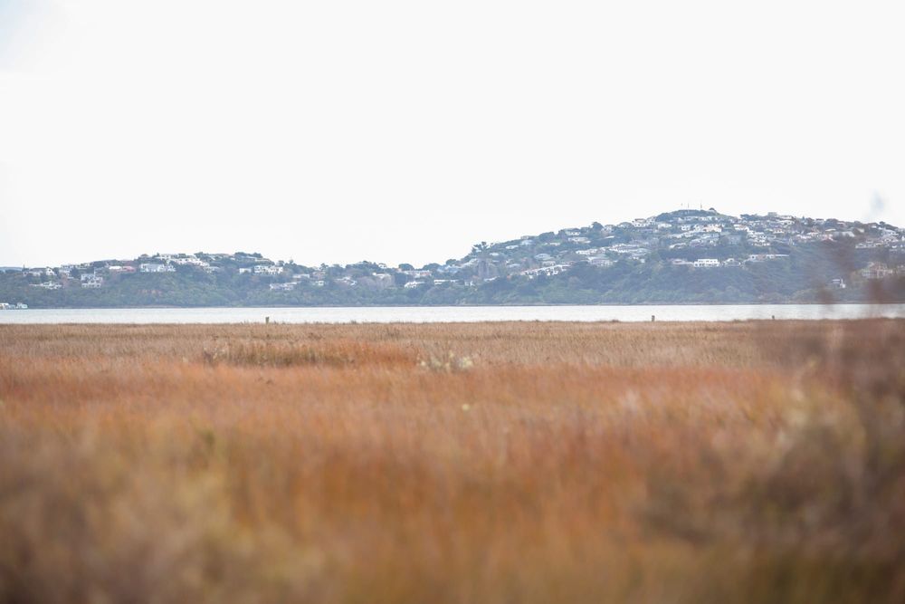 Hillside homes post image