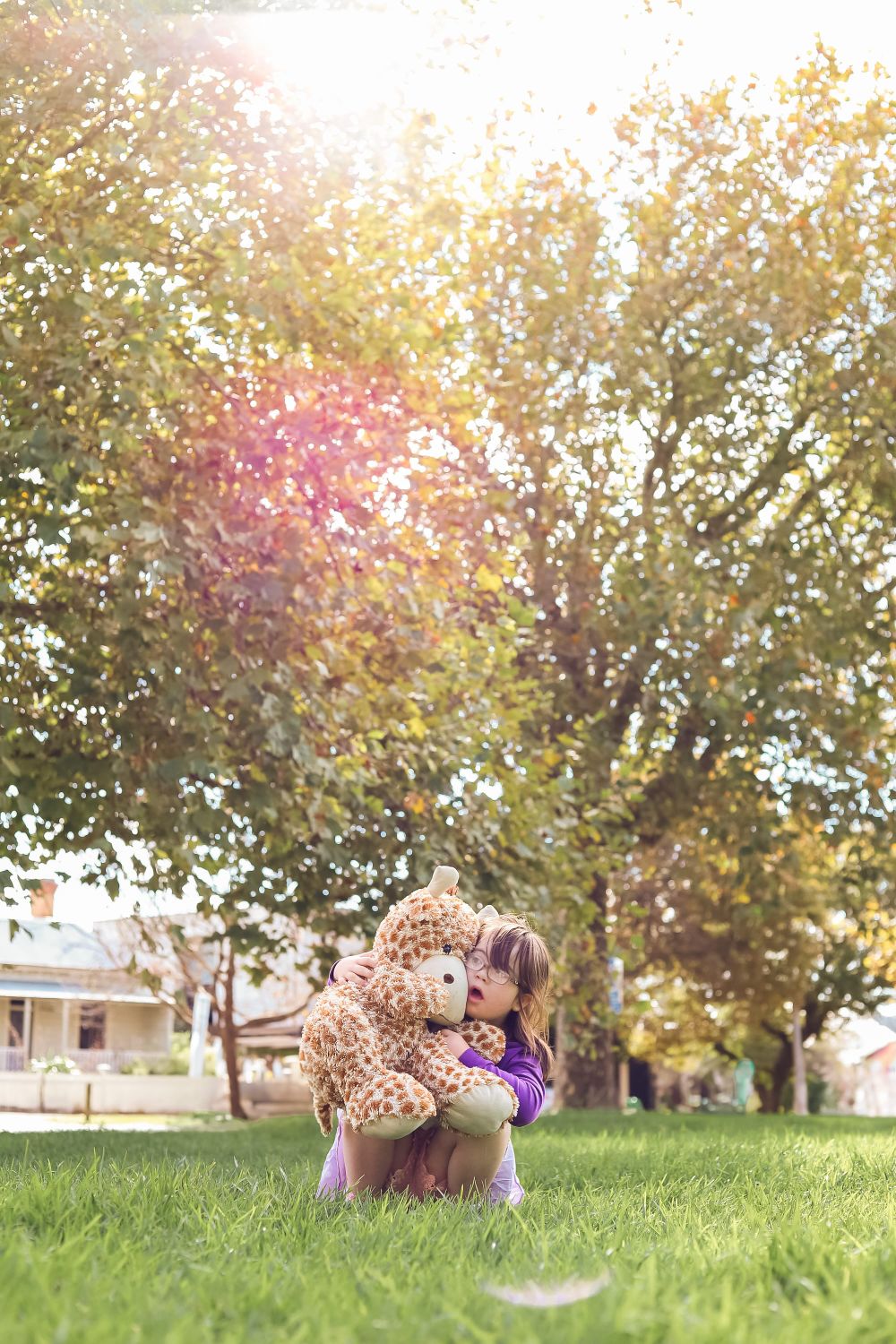 Hug in the sunlight post image