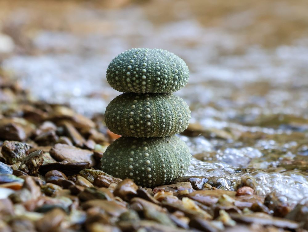 Kina tower post image