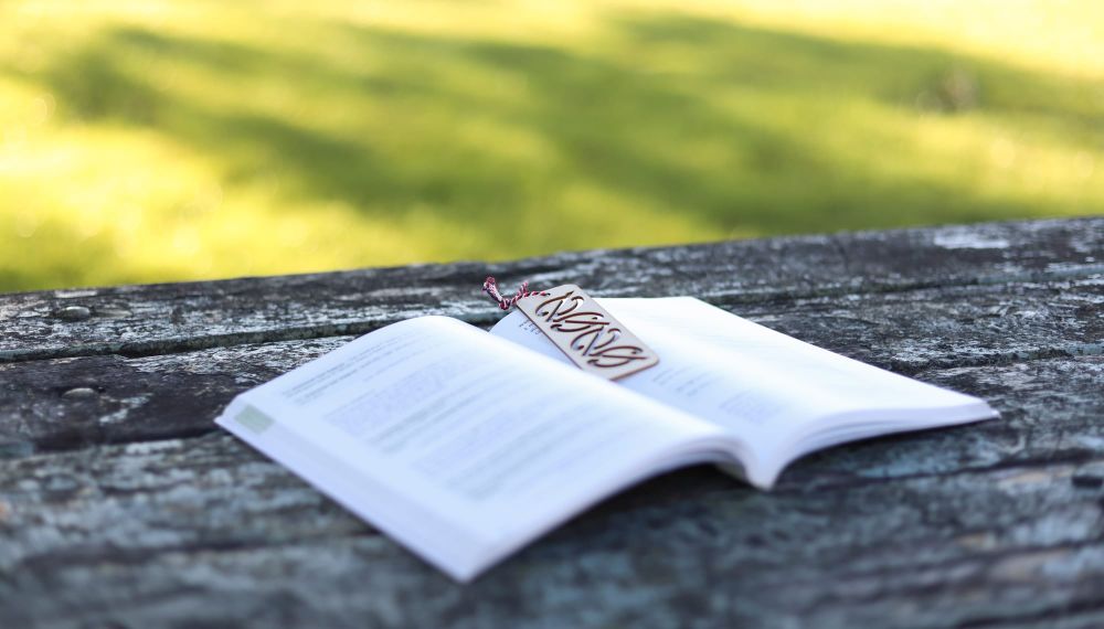 Outdoor reading moment post image