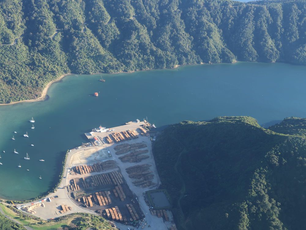 Shakespeare Bay, log terminal post image