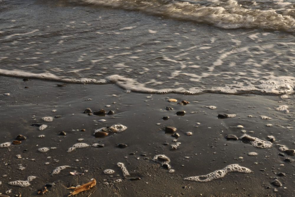 Shoreline foam post image