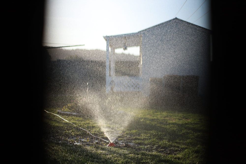 Sprinkler mist post image