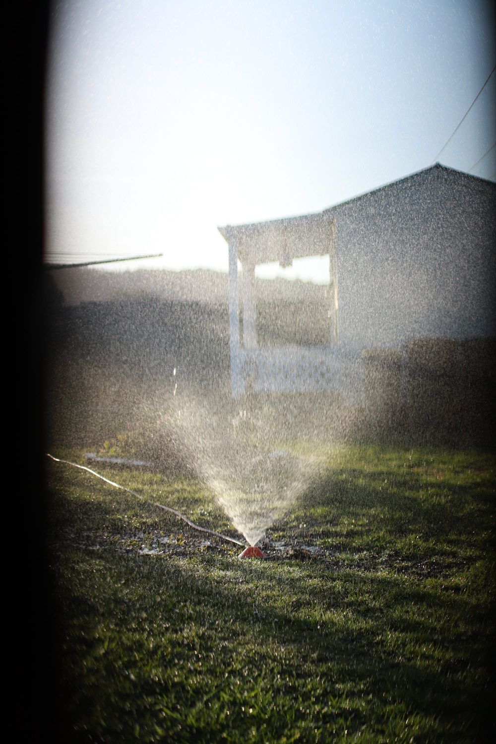Sprinkler spray post image