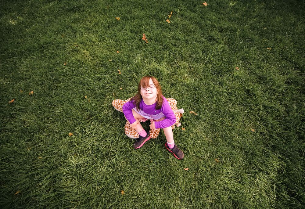 Top view and toy giraffe post image