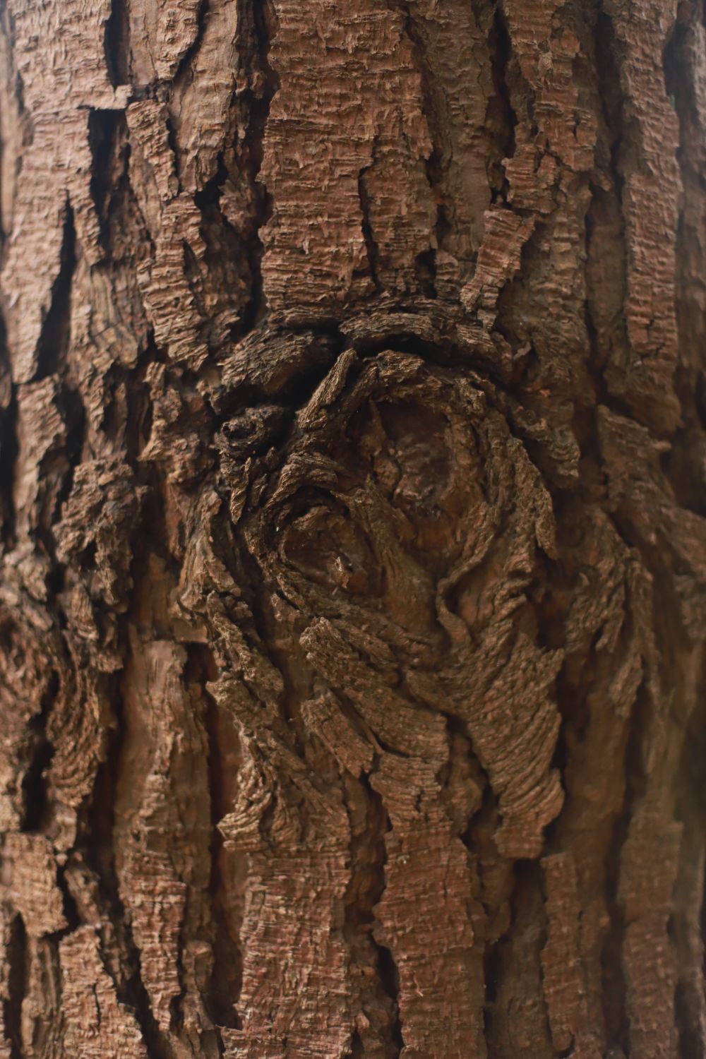 Wood patterns post image