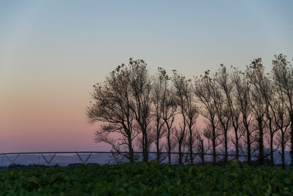 Blue hour in Manawatu post image