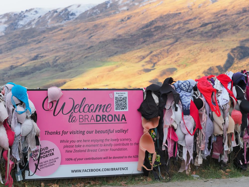 Bradrona brafence Cardrona post image