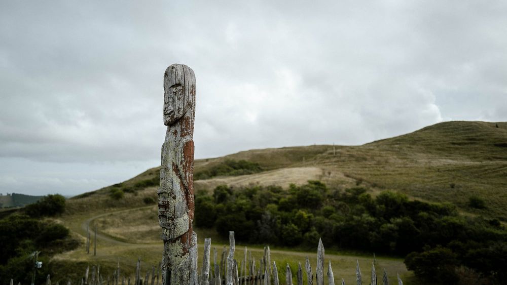 Carved pouwhenua on hillside at Ōtātara Pā post image