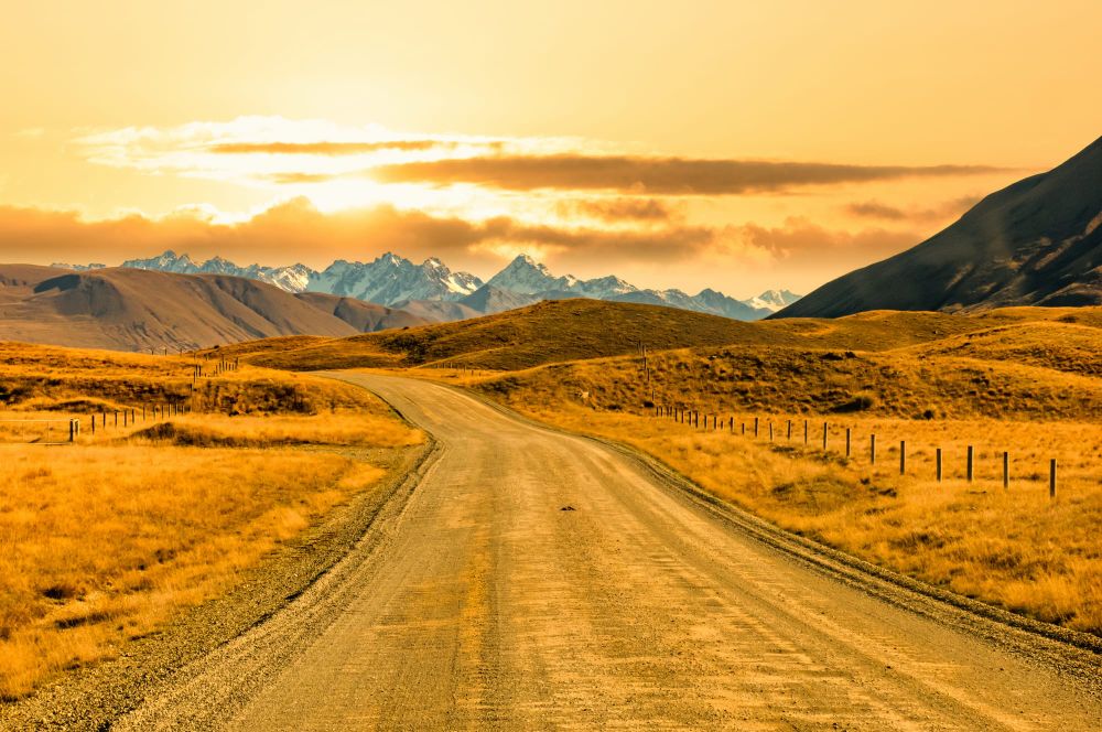 Hakatere Conservation Park post image