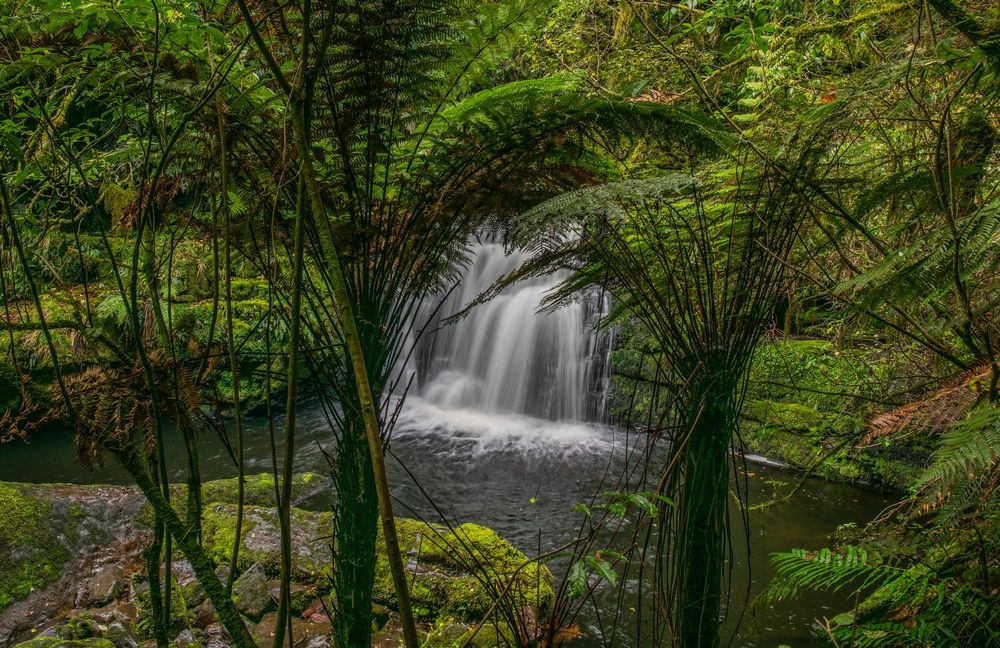 Waterfall post image