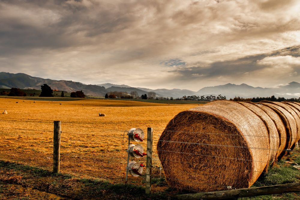 On the farm post image