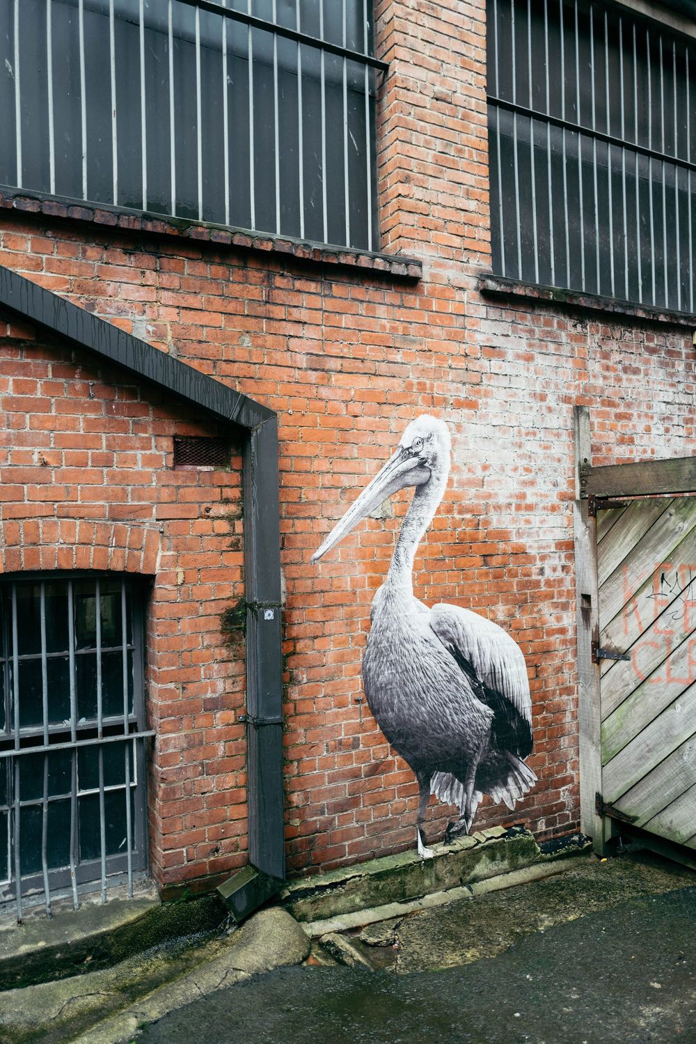 Pelican mural on brick wall post image
